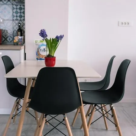 Apartment Cozy Viewpoint Timisoara